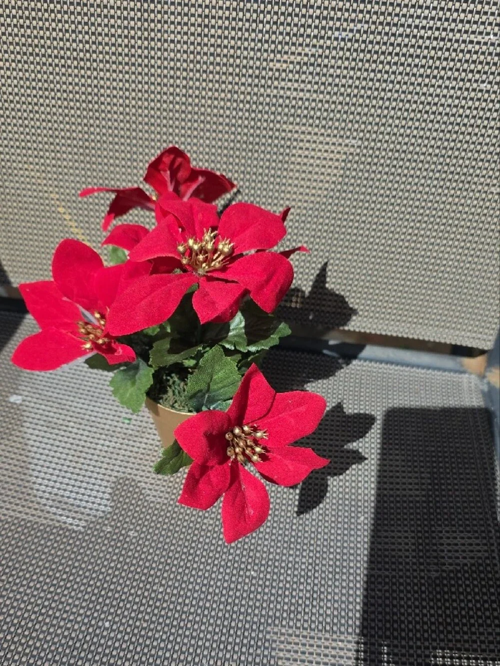 Holiday Poinsettia Stems And Small potted Plant - Christmas Décor